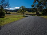 a rural road winding away from the horizon with a pasture and trees in the foreground