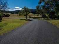 a rural road winding away from the horizon with a pasture and trees in the foreground