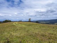 a field full of rocks and plants with mountains in the background under cloudy skies in the distance