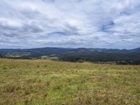 a field full of rocks and plants with mountains in the background under cloudy skies in the distance