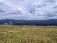 a field full of rocks and plants with mountains in the background under cloudy skies in the distance