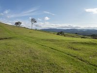 Australian Landscape in New South Wales