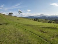 Australian Landscape in New South Wales