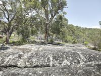 Australian Landscape in Sydney: Nature at its Scenic Best