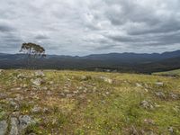 Australian Off-Road Adventure: Bald Hills, Valley, and Mountain