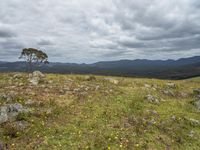 Australian Off-Road Adventure: Bald Hills, Valley, and Mountain