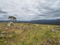 Australian Off-Road Adventure: Bald Hills, Valley, and Mountain