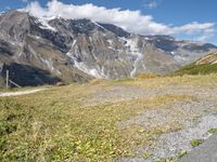 a brown animal walking down a narrow path next to the mountains and grass on a steep mountain