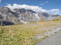 a brown animal walking down a narrow path next to the mountains and grass on a steep mountain