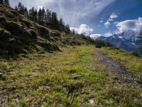 Austrian Landscape: Mountains and Forests