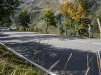 Austrian Landscape: Mountain Views and Green Grass in the Daylight