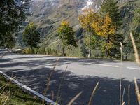 Austrian Landscape: Mountain Views and Green Grass in the Daylight