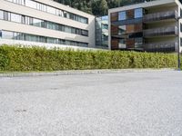 a couple of bushes sit in the middle of a street next to a building in europe