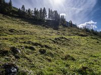 Austria Mountain Forest Grass Terrain