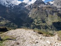 a person is standing near a mountain and looking at a valley below them with a dog, a cow and other animals