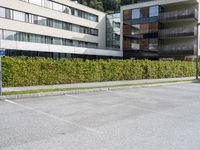 a person skateboards by a block of building with a hill behind them and an evergreen - lined sidewalk and bushes around