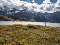 a scenic scene of the mountains and an empty roadway with signs on it and lots of flowers and shrubs