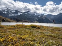 a scenic scene of the mountains and an empty roadway with signs on it and lots of flowers and shrubs