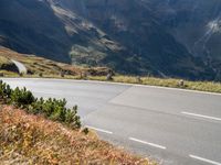 two cows are walking down the mountain road next to a road with white markings on it