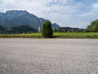 a tree sitting on the road next to a mountain range at day time and in the distance, a building is being built