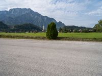 a tree sitting on the road next to a mountain range at day time and in the distance, a building is being built