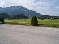 a tree sitting on the road next to a mountain range at day time and in the distance, a building is being built