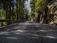 Austria: Road, Landscape, and Forest