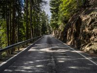 Austria: Road, Landscape, and Forest