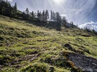 a green hillside with mountains and evergreen forest around it in the sunshine with sunbeams