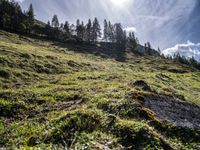 a green hillside with mountains and evergreen forest around it in the sunshine with sunbeams