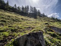 a green hillside with mountains and evergreen forest around it in the sunshine with sunbeams