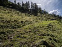 a green hillside with mountains and evergreen forest around it in the sunshine with sunbeams