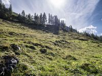 a green hill covered in trees and grass on a sunny day in the mountains above