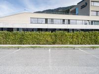 a long hedge lined parking lot with an empty building and a blue sky in the background