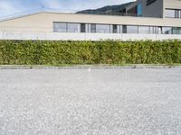 a long hedge lined parking lot with an empty building and a blue sky in the background