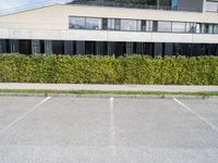 a long hedge lined parking lot with an empty building and a blue sky in the background