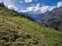 Austrian Mountain Landscape with Open Slopes 002