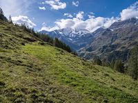 Austrian Mountain Landscape: Open Slopes 003