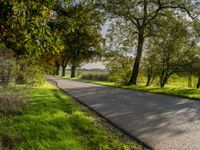 the empty street is lined with tall green trees and grass that stand along the road