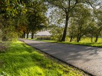 the empty street is lined with tall green trees and grass that stand along the road