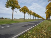 an image of trees lining the middle of the road near the grass in a field