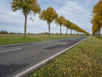 an image of trees lining the middle of the road near the grass in a field