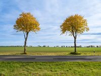 Autumn Day in Berlin, Germany: A Gloomy Atmosphere