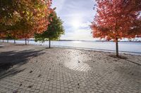 Autumn Day in Toronto, Ontario, Canada