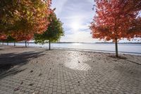 Autumn Day in Toronto, Ontario, Canada