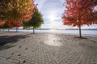 Autumn Day in Toronto, Ontario, Canada