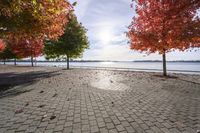 Autumn Day in Toronto, Ontario, Canada