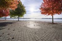 Autumn Day in Toronto, Ontario, Canada