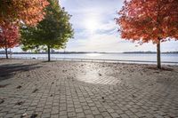 Autumn Day in Toronto, Ontario, Canada