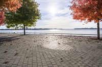 Autumn Day in Toronto, Ontario, Canada